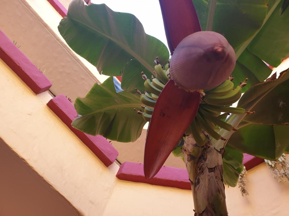 Marino Tenerife Arona Kültér fotó